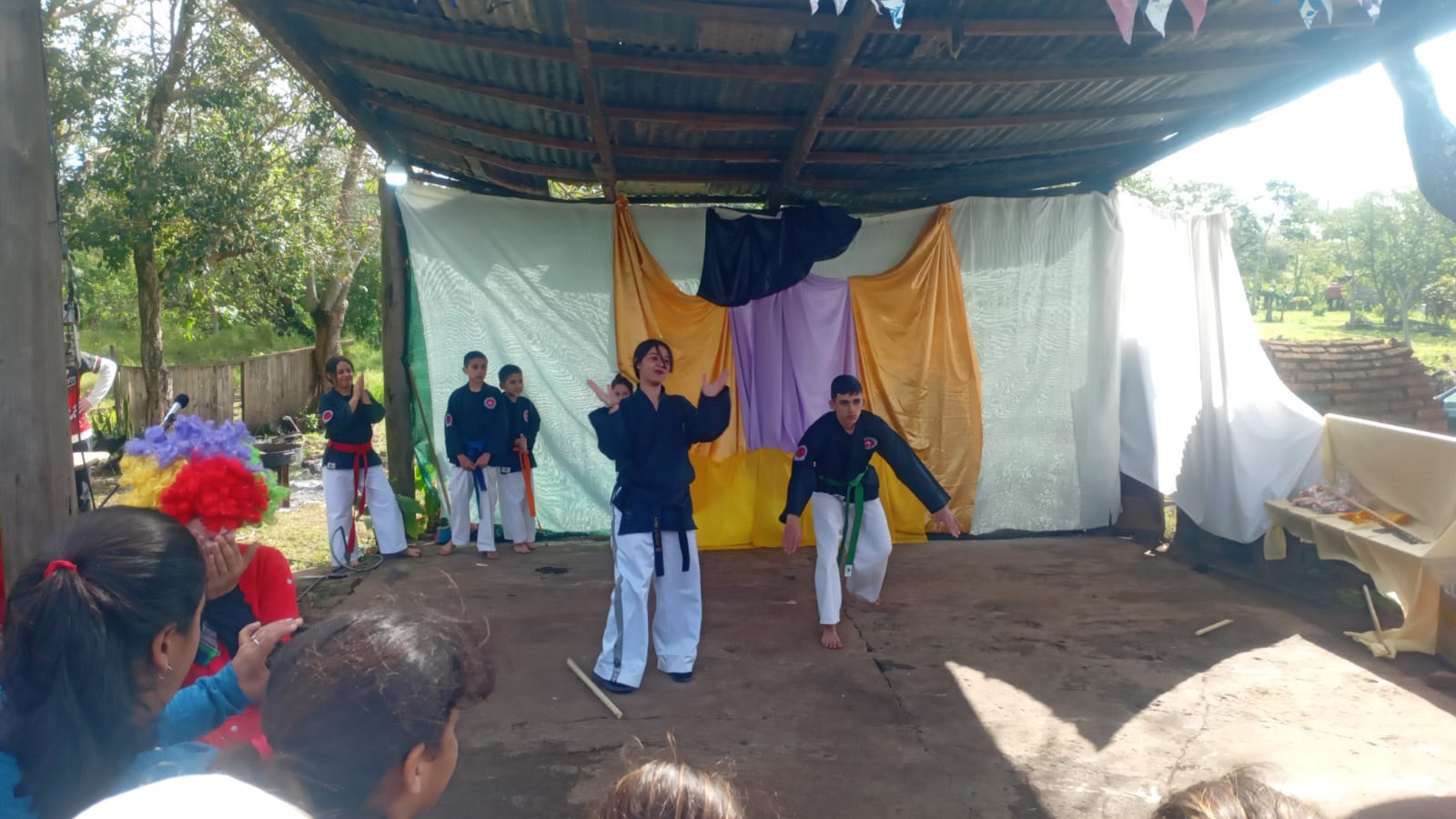 Imagen adicional