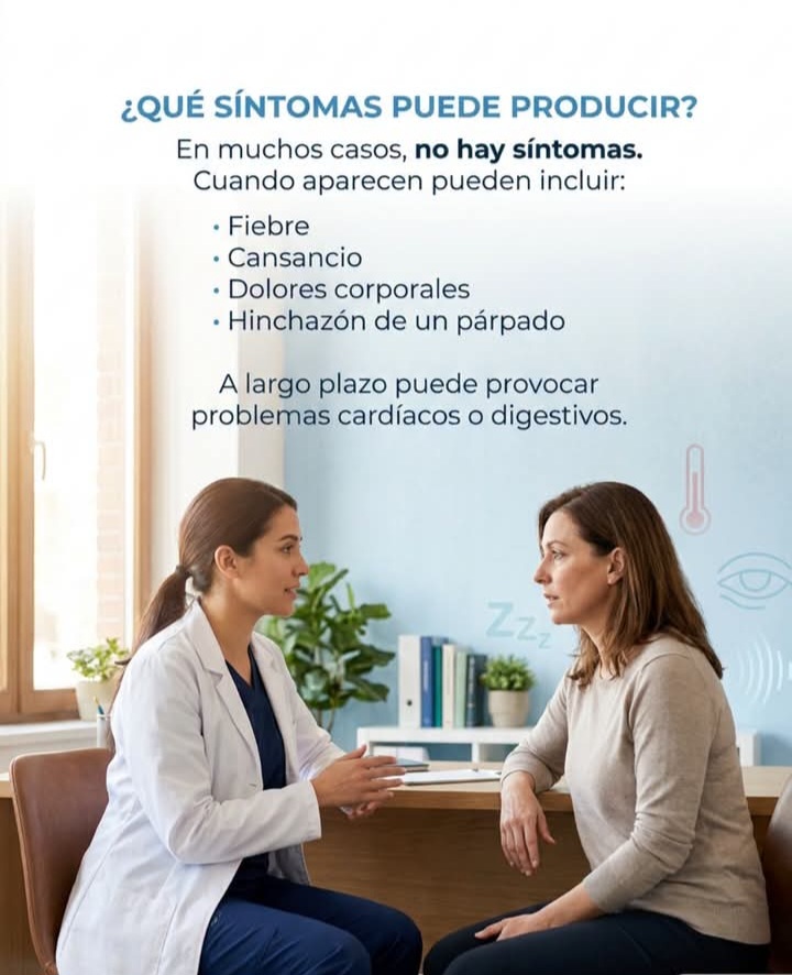 Imagen adicional