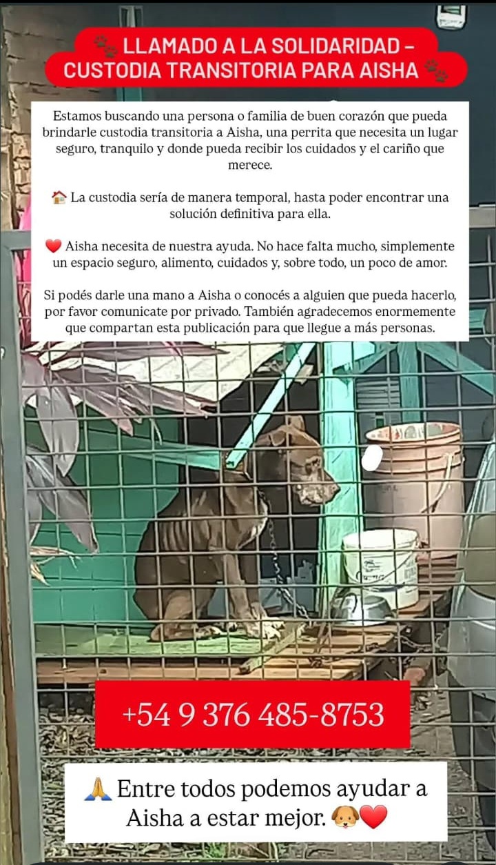 Solidaridad urgente