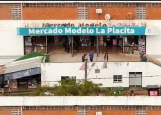 Imagen Principal